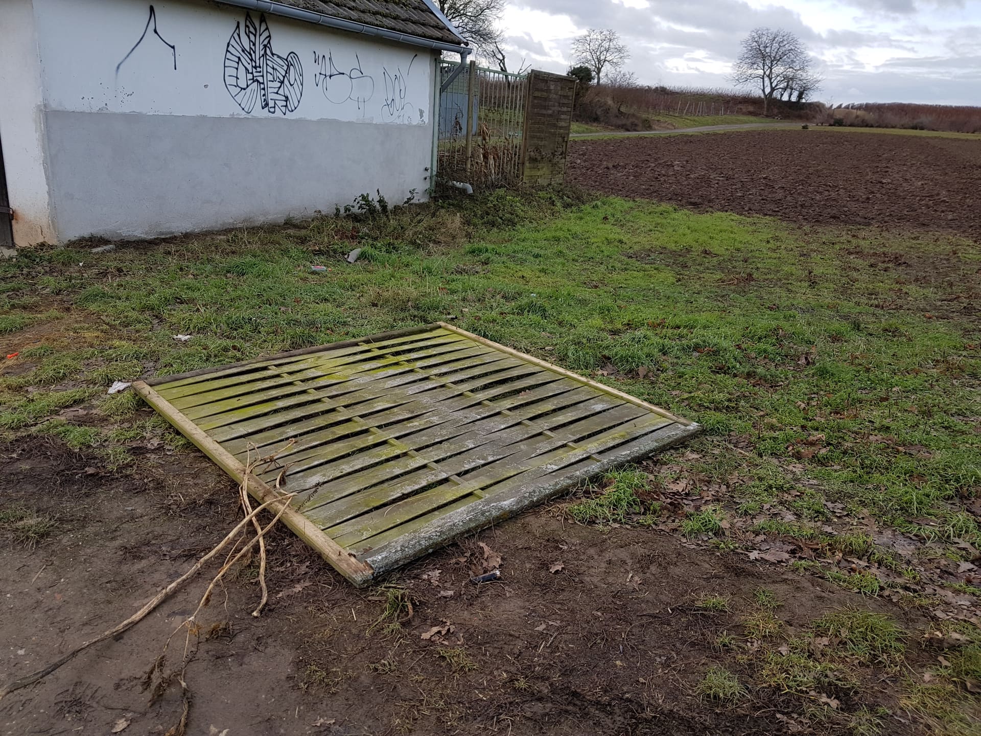 Ein umgestürztes Zaunelement liegt im Gras vor einem weißen Gebäude am Feldrand.